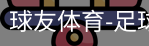 球友体育